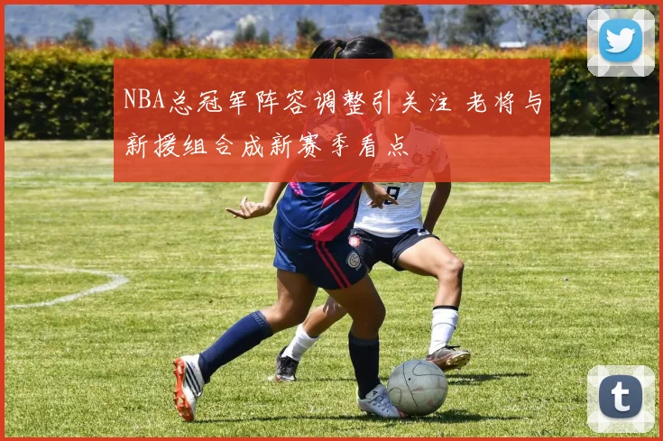 NBA总冠军阵容调整引关注 老将与新援组合成新赛季看点