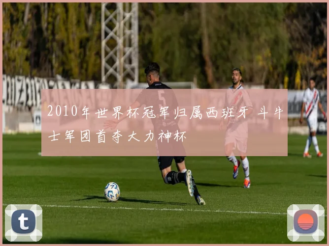 2010年世界杯冠军归属西班牙 斗牛士军团首夺大力神杯