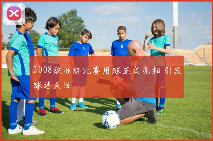 2008欧洲杯比赛用球正式亮相 引发球迷关注