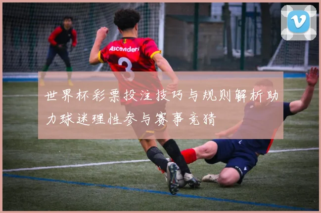 世界杯彩票投注技巧与规则解析助力球迷理性参与赛事竞猜