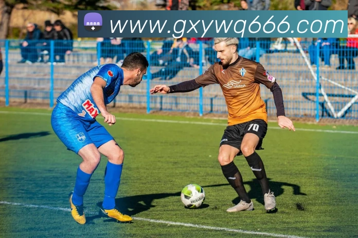 ayx爱游最新官网平台生态图